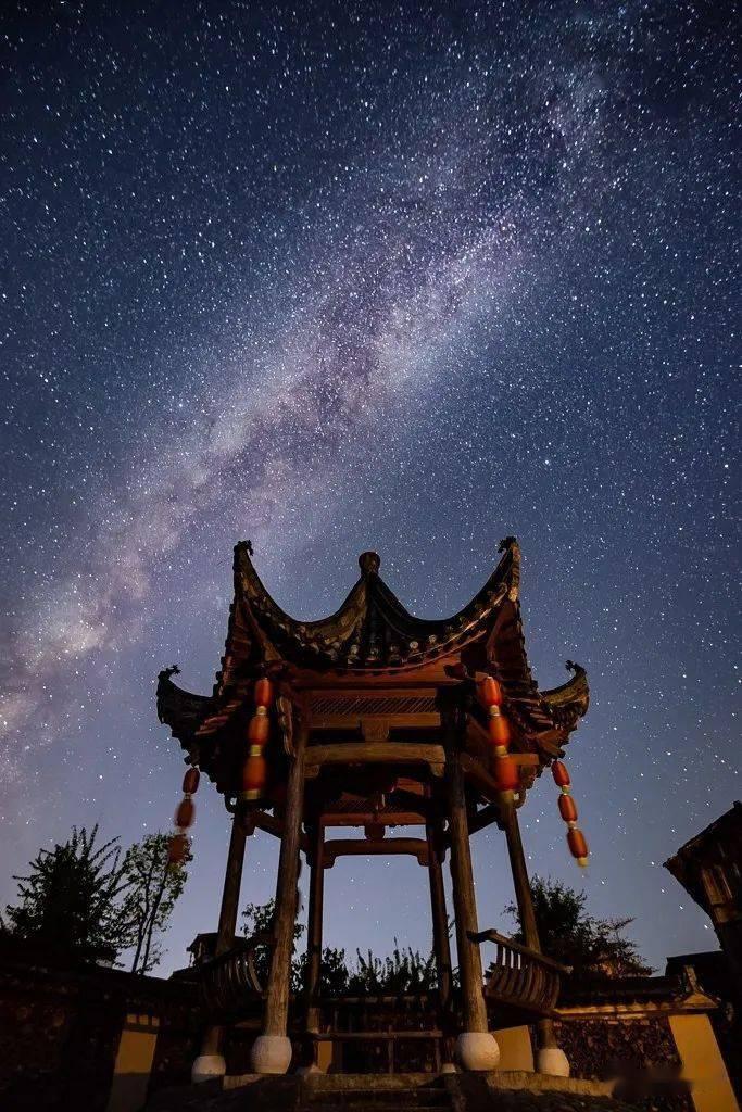 车牌号和车架号哪个没有o？游戏画面