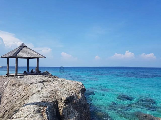 如何提高旅客通行效率?省政协老委员专家组组长陈雨农建议优化我省火车站服务质量
