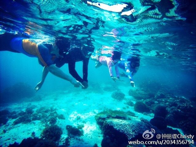 春雨直播app