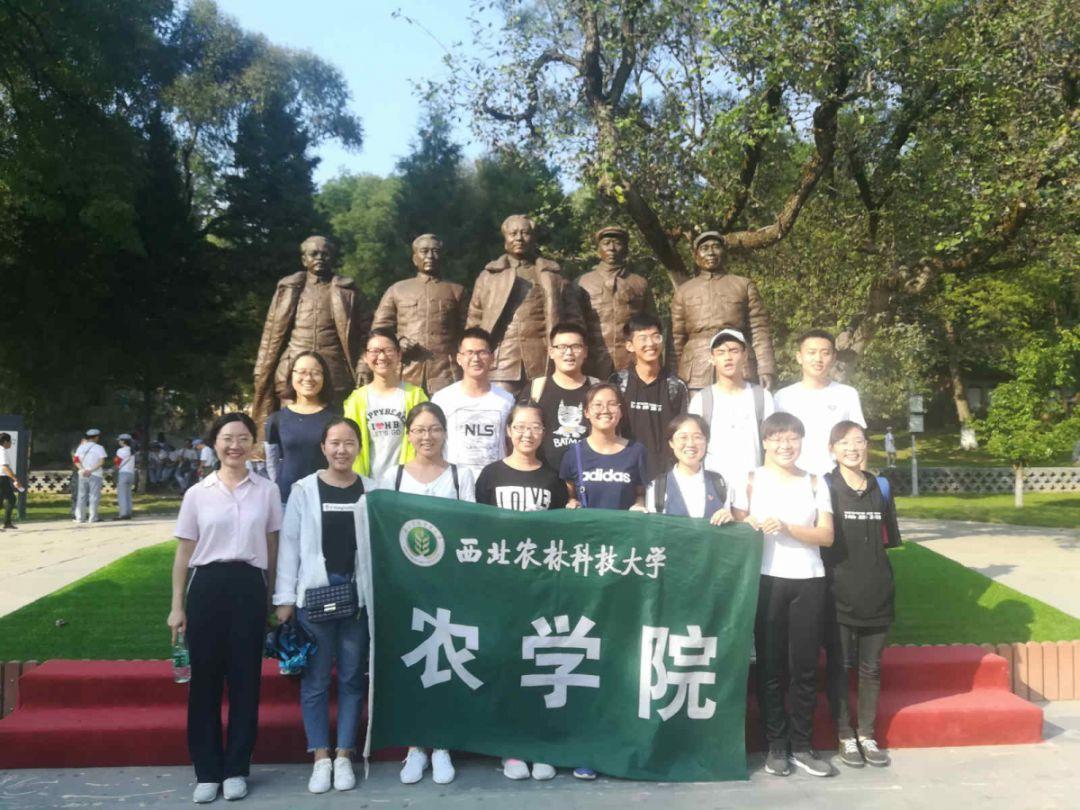 豪华别墅找不同